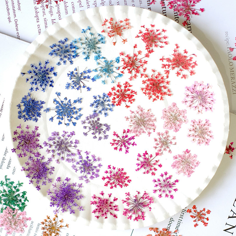 24pcs,2-2.5cm,nature Dyed Mini - Resin Art And Jewelry recension och pris