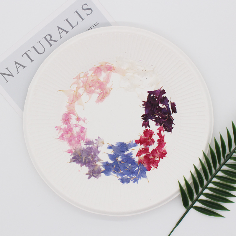 20 Plant Specimens, Cornflower - Resin Art And Jewelry recension och pris
