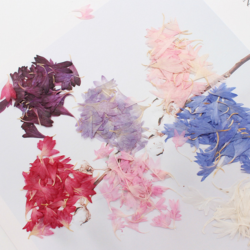 20 Plant Specimens, Cornflower - Resin Art And Jewelry recension och pris