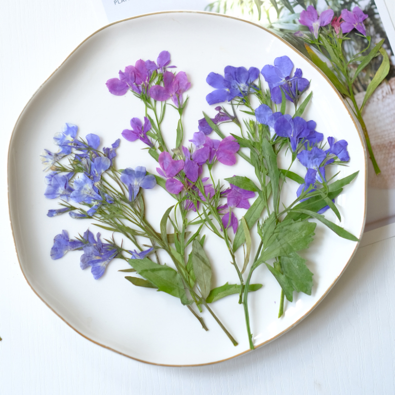 6pcs/8-13cm,nature Lobelia Eri - Resin Art And Jewelry recension och pris