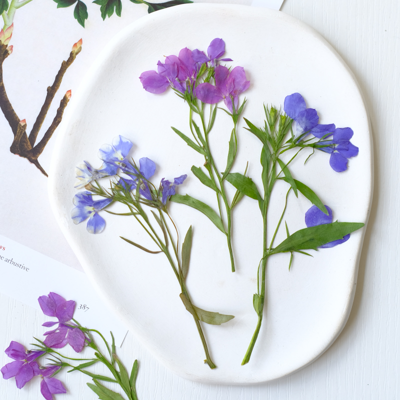 6pcs/8-13cm,nature Lobelia Eri - Resin Art And Jewelry recension och pris