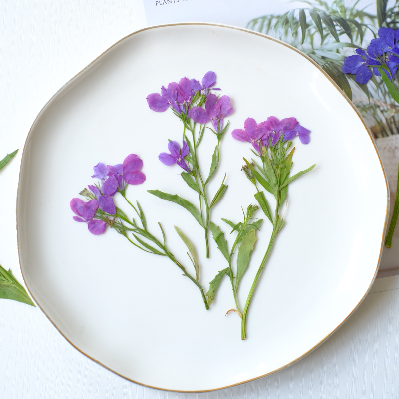6pcs/8-13cm,nature Lobelia Eri - Resin Art And Jewelry recension och pris