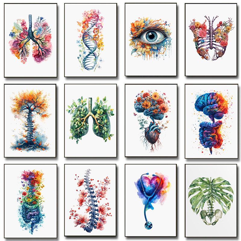 Anatomy Of Human Organs Poster - Resin Art Wall recension och pris